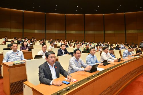 hinh doan 12-4-20262.jpg