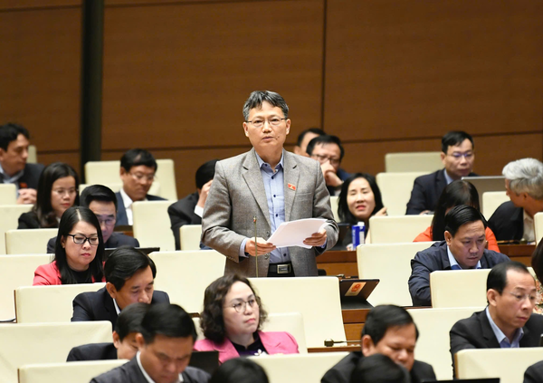 0303-LHH-ĐBQH-4 (4).png